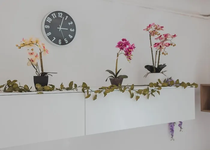 Free Wifi & Netflix Roiano Elegant Trieste