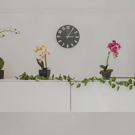 Free Wifi & Netflix Roiano Elegant Apartment